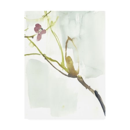 Jennifer Goldberger 'First Blooms Vi' Canvas Art,24x32